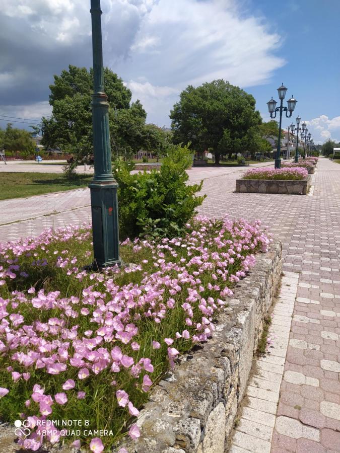 Hause Zorbas Lejlighedshotel Paralia Dionisiou Eksteriør billede